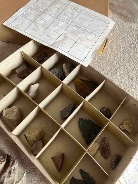 Photo of free Rock and fossil collection (Crooklands LA7) #1