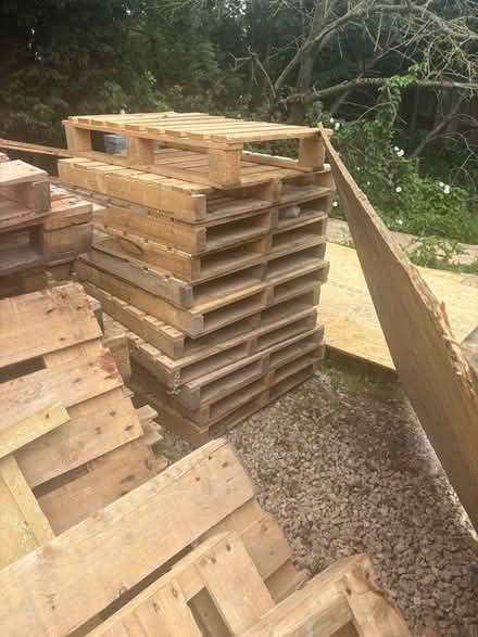 Photo of free Wood Pallets (Borrowash DE72) #1
