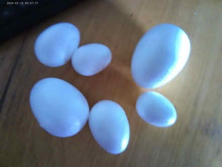 Photo of free Fifty Styrofoam Eggs (Rhayader LD6) #1