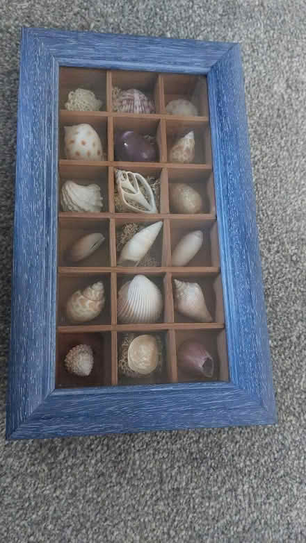 Photo of free Shell display picture frame (North Abingdon OX14) #1