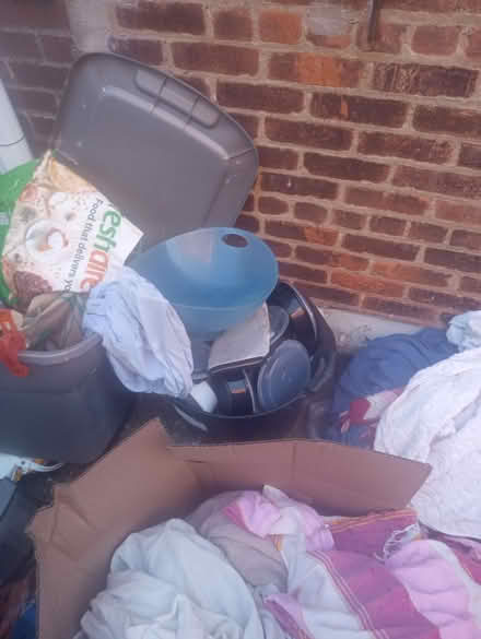 Photo of free Updated Curb Alert (Kensington, Brooklyn) #2