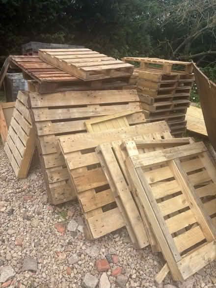 Photo of free Wood Pallets (Borrowash DE72) #2