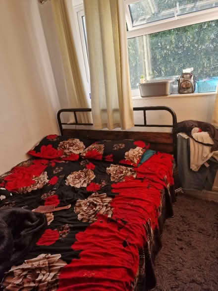 Photo of free double bunk and king size bed (LU5, Houghton Regis) #3