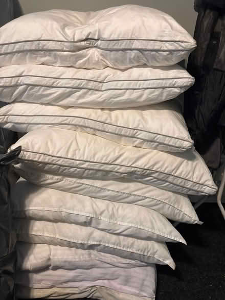 Photo of free pillows (L7) #1