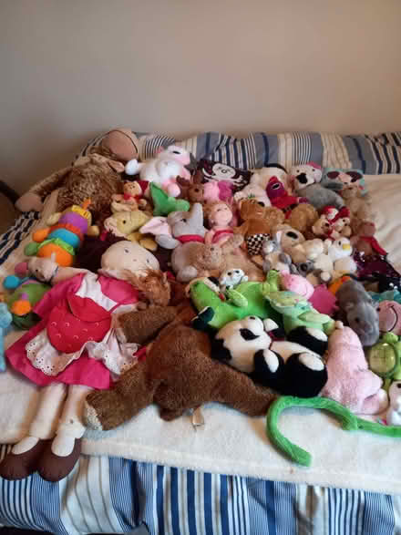 Photo of free Soft toys (Southwick BN42) #1