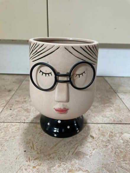 Photo of free Indoor plant pot small (Woodford green) #1