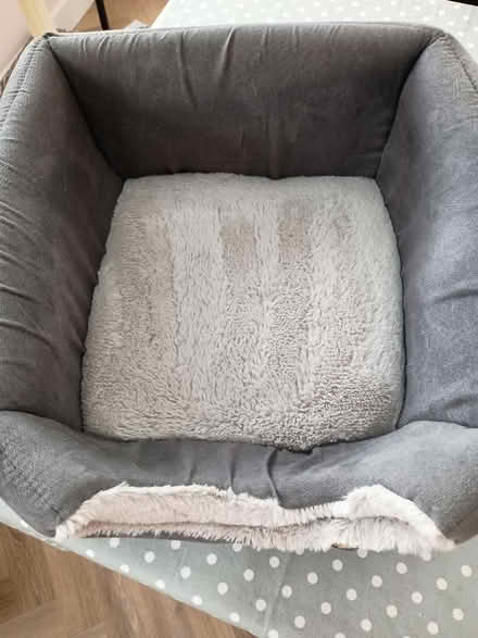 Photo of free Small two-way cat bed (East Barnwell) #2