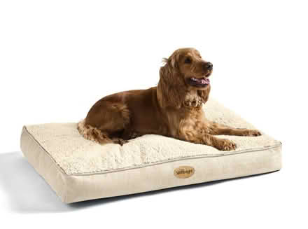 Photo of Dog Bed (with removable covers) (Long Eaton NG10) #1