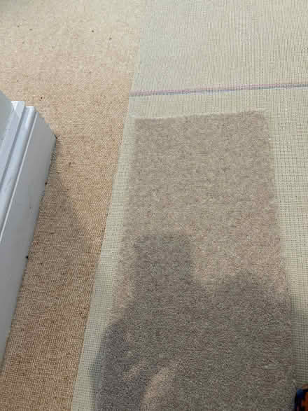 Photo of free Beige carpet offcuts (Hitchin) #2