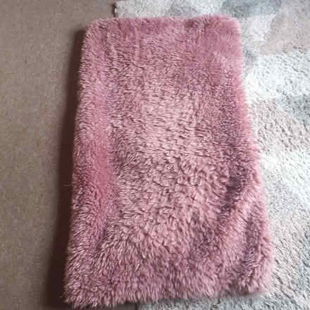 Photo of free Large fleece throw for pets (Livingston EH54) #1