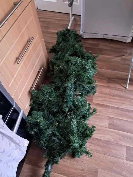 Photo of free Slim 6.5ft Xmas tree green (Old Swan L13) #1