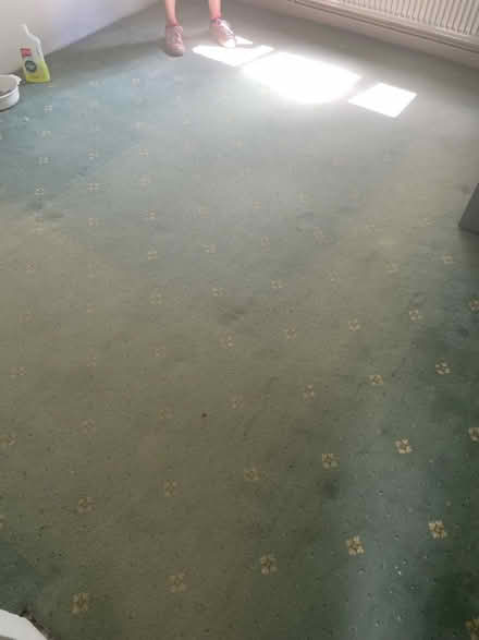 Photo of free Old carpet (Centurion Rise, Hastings TN34) #2