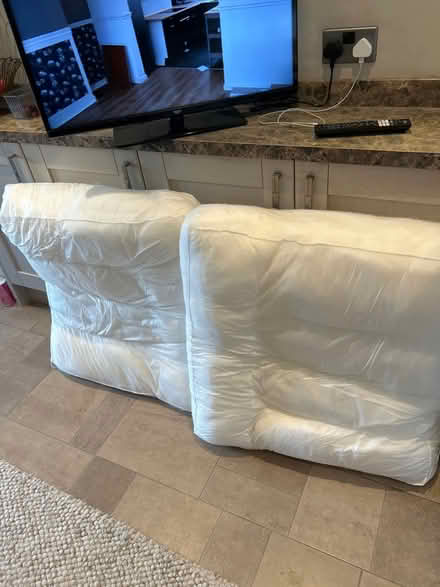 Photo of free Sofa seat cushions (Didcot OX11) #1