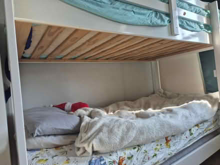 Photo of free Bunk single bed (BS32) #3