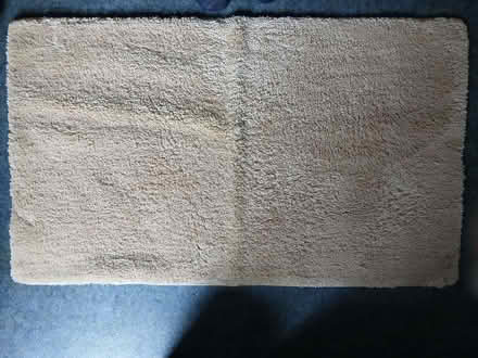 Photo of free pale gold rug (Palmer Park RG1) #1