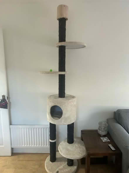 Photo of free Large cat Tree (Park street st albans AL2) #1