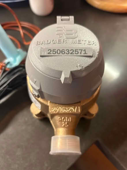 Photo of free Badger meter (Glen park) #2