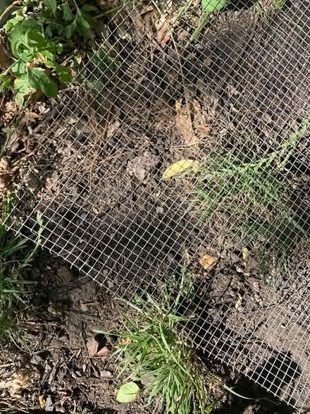 Photo of free Wire mesh (BA2) #1