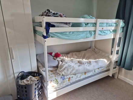 Photo of free Bunk single bed (BS32) #1