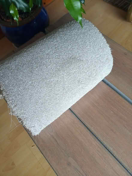 Photo of free new carpet offcut (Carlton Hill BN2) #1