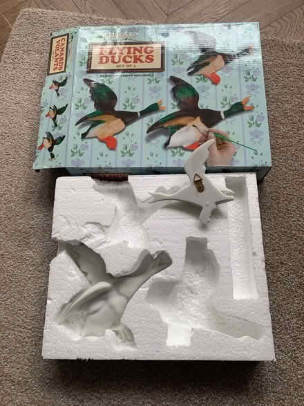 Photo of free Craft - flying ducks for painting (Newington EH9) #1