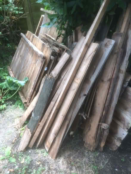 Photo of free Wood. (Hailsham BN27) #1