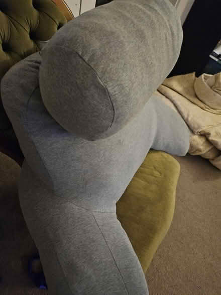 Photo of free Reading pillow with arms +head rest (Woodloes, Warwick, CV34) #2