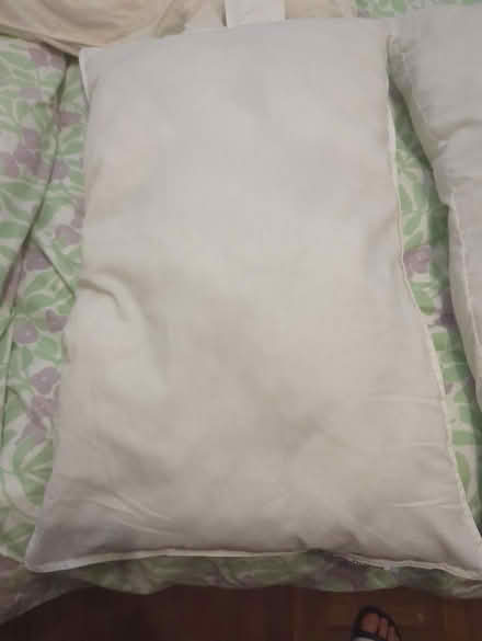 Photo of free Two IKEA Pillows (E10dz) #1