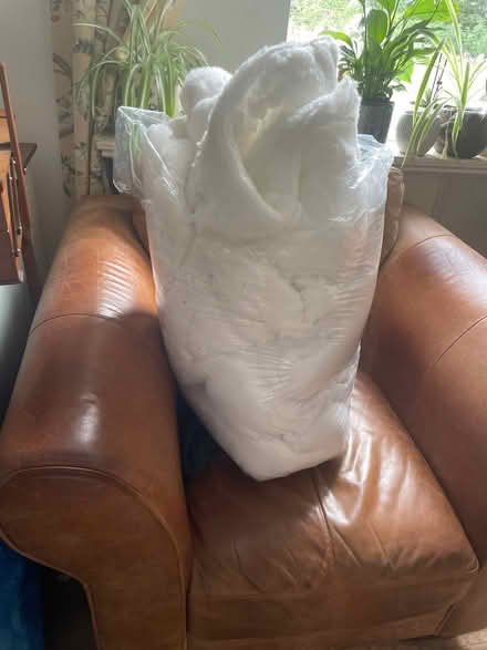 Photo of free Toy stuffing (Mostyn CH8) #1