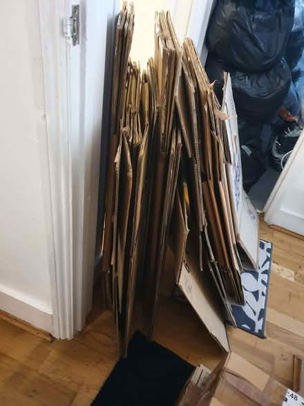 Photo of free 15 strong moving boxes medium to large (Hove BN3) #1