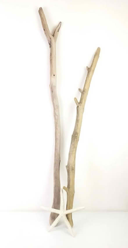 Photo of Drift wood (Corsham SN13) #1