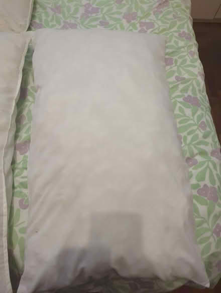 Photo of free Two IKEA Pillows (E10dz) #2