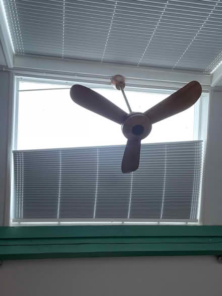Photo of free 2 ceiling fans (Chiswick London W4) #2