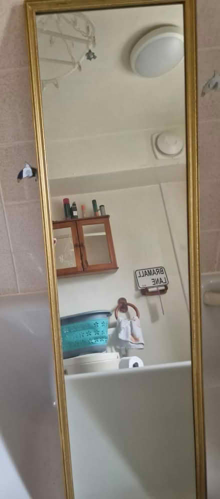 Photo of free Full length wall mirror (S12 intake S12) #1