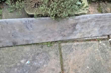 Photo of free Long plank of solid pine - very old (Sharrow S11) #4