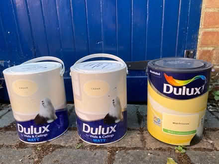 Photo of free Delux paint (Waterlooville PO7) #1