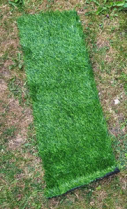 Photo of free Strip of AstroTurf (Osney OX2) #1