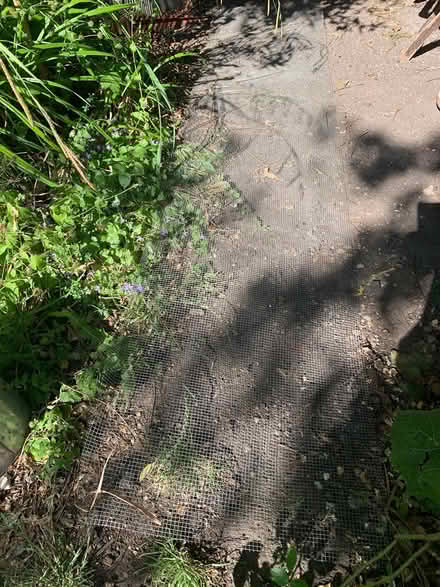 Photo of free Wire mesh (BA2) #2