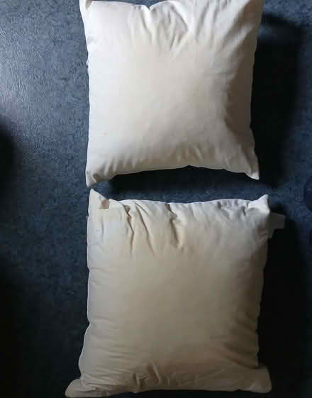 Photo of free two cushion pads (Palmer Park RG1) #1