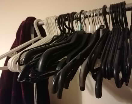 Photo of free 45 plastic coat hangers (Presteigne LD8) #2