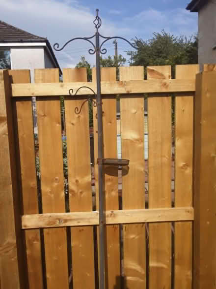 Photo of free Bird feeding station (Glasgow Craigton G52) #1