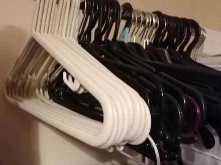Photo of free 45 plastic coat hangers (Presteigne LD8) #1