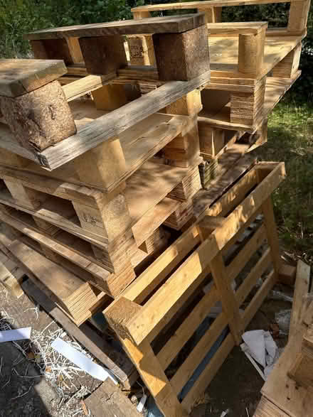 Photo of free Mixed sizes and condition pallets (NG16) #2