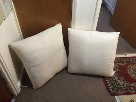Photo of free Large Cushions/Pillows (Welshpool SY21) #1