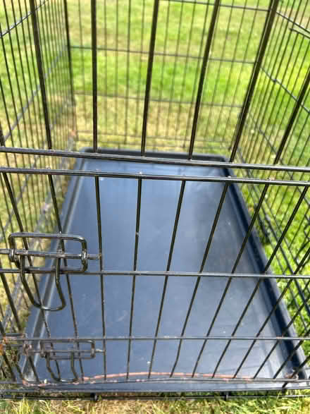 Photo of free Dog crate (Waterlooville PO7) #1