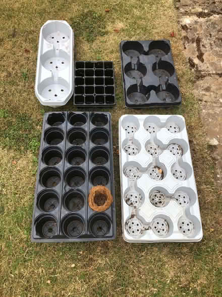 Photo of free Variety of plant plant pots (Whitnash CV34) #2