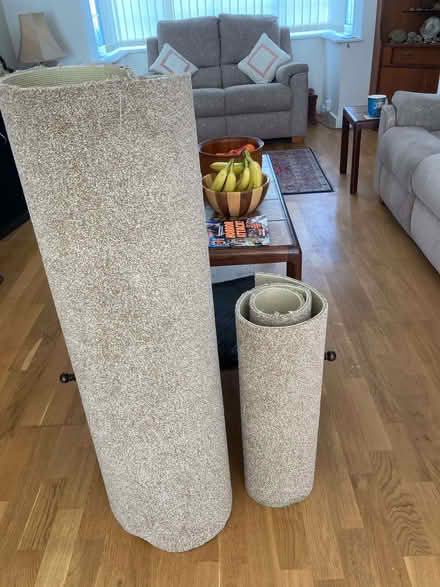 Photo of free Two carpet offcuts (Goldsworth Park GU21) #1
