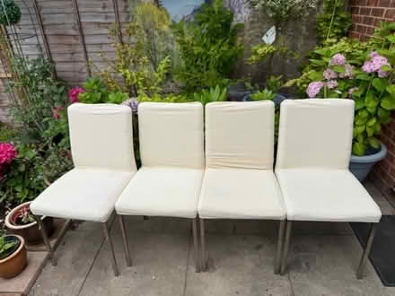 Photo of free 4 Dining chairs (Cippenham SL1) #1