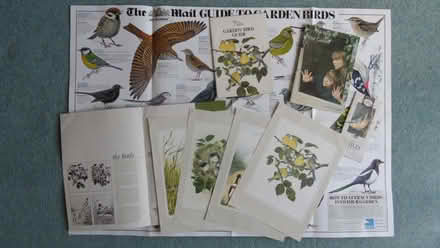 Photo of free RSPB Prints, Pamphlets and Posters (Church RG2) #1