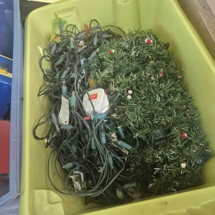 Photo of free Christmas lights (Woking) #1